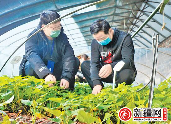 米东区有多少万人口_亨通花园东区多少栋楼(3)